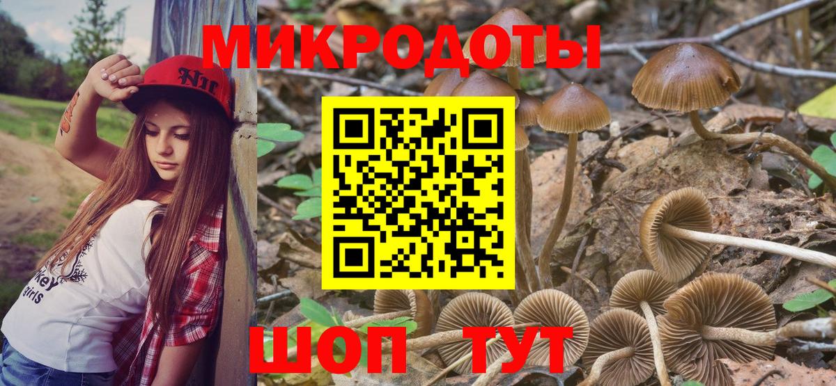 Галлюциногенные грибы Magic Shrooms Гулькевичи